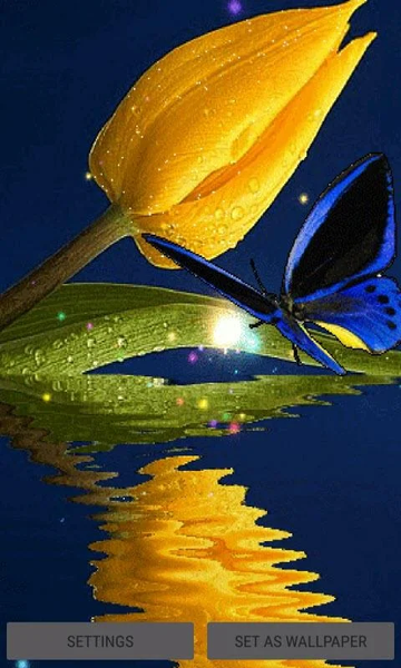 Blue Butterfly Live Wallpaper - Image screenshot of android app