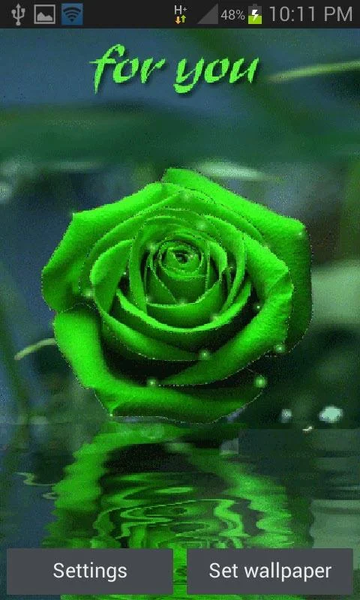 Green Rose For You LWP - عکس برنامه موبایلی اندروید