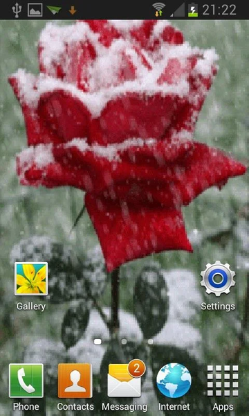Icy Red Rose Live Wallpaper - Image screenshot of android app