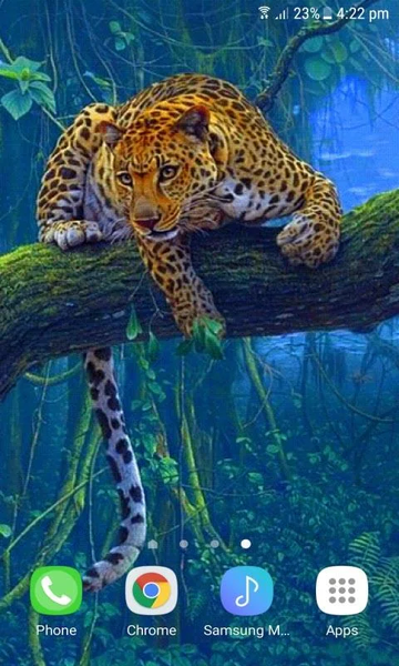Jungle Leopard Live Wallpaper - عکس برنامه موبایلی اندروید