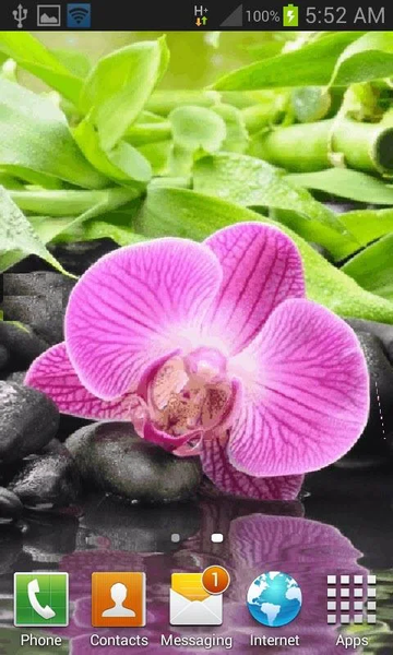 Pink Orchid Blooming LWP - Image screenshot of android app