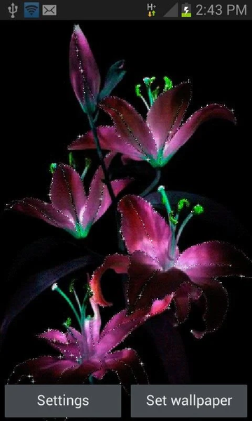 Purple Flowers Live Wallpaper - Image screenshot of android app