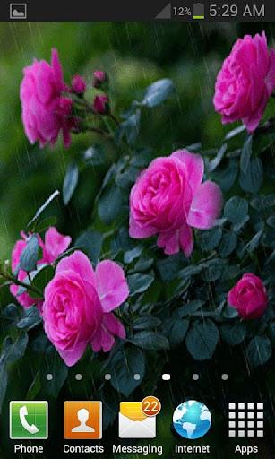 Rainy Pink Flowers LWP - عکس برنامه موبایلی اندروید