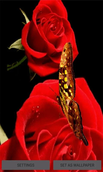 Red Roses Butterfly LWP - Image screenshot of android app