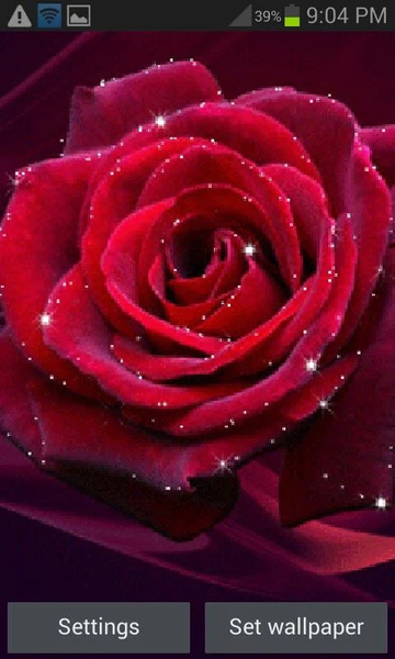 Red Rose Shine LWP - عکس برنامه موبایلی اندروید