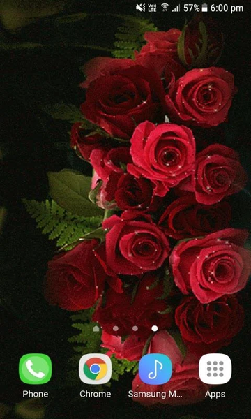 Red Roses Shine LWP - عکس برنامه موبایلی اندروید