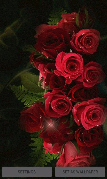 Red Roses Shine LWP - عکس برنامه موبایلی اندروید