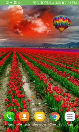 Tulip Flowers Live Wallpaper - عکس برنامه موبایلی اندروید