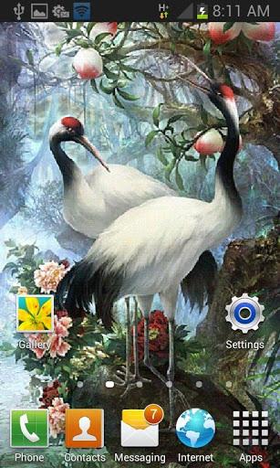 White Birds Live Wallpaper - Image screenshot of android app