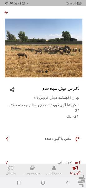 دام پلاس | بازار نیازمندیهای دام - عکس برنامه موبایلی اندروید