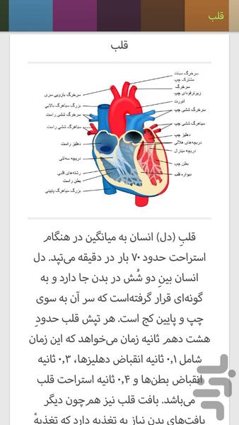 دانستنیهای جهان - عکس برنامه موبایلی اندروید