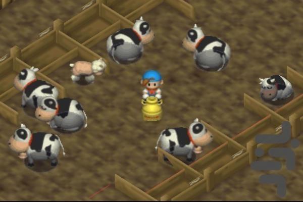 Harvest Moon Love Season - Gameplay image of android game