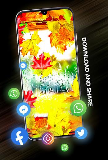 Autumn Wallpapers in 4K - Image screenshot of android app