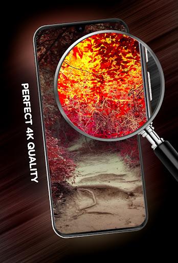 Autumn Wallpapers in 4K - Image screenshot of android app
