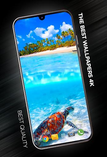 Beach Wallpapers in 4K - Image screenshot of android app