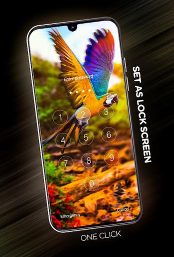 Birds Wallpapers in ۴K - عکس برنامه موبایلی اندروید