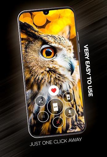 Birds Wallpapers in 4K - Image screenshot of android app