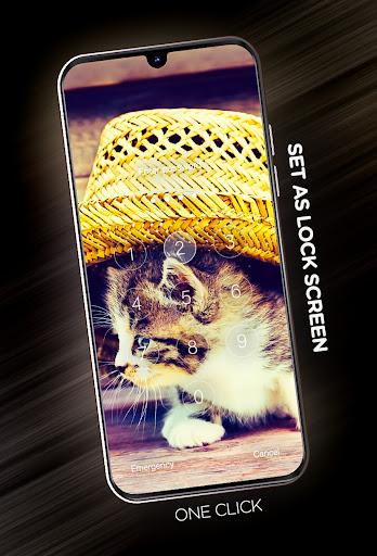 Cats Wallpapers in ۴K - عکس برنامه موبایلی اندروید
