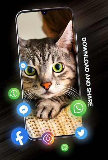Cats Wallpapers in ۴K - عکس برنامه موبایلی اندروید