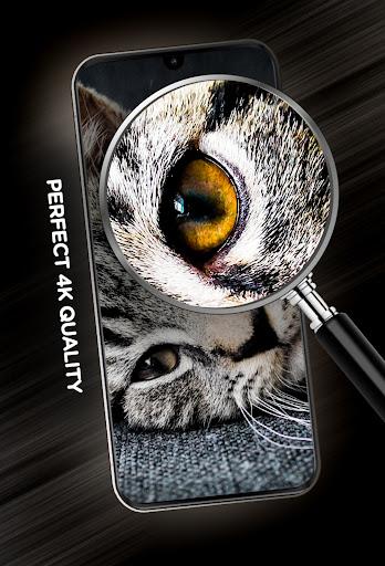 Cats Wallpapers in ۴K - عکس برنامه موبایلی اندروید