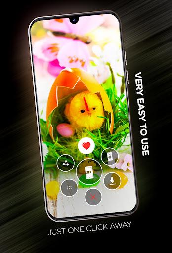 Easter Wallpapers 2024 - Image screenshot of android app