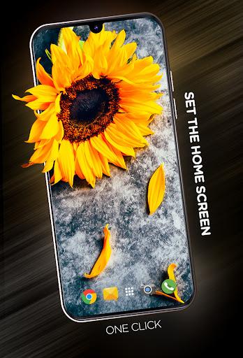 Flowers Wallpapers in ۴K - عکس برنامه موبایلی اندروید