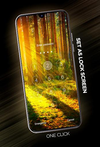 Forests wallpaper in ۴K - عکس برنامه موبایلی اندروید