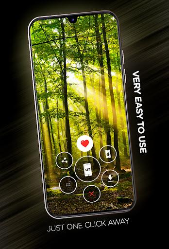 Forests wallpaper in 4K - Image screenshot of android app