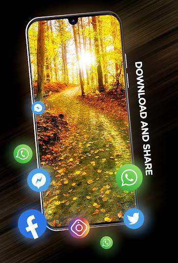 Forests wallpaper in ۴K - عکس برنامه موبایلی اندروید