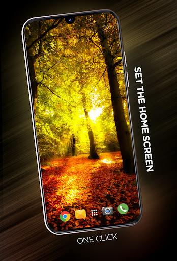 Forests wallpaper in ۴K - عکس برنامه موبایلی اندروید