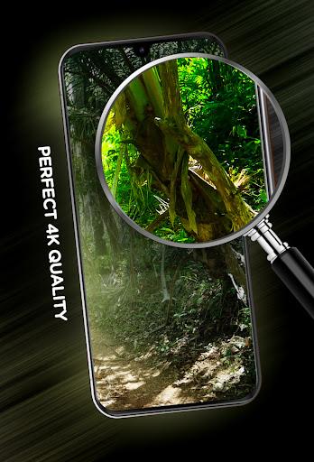 Forests wallpaper in ۴K - عکس برنامه موبایلی اندروید