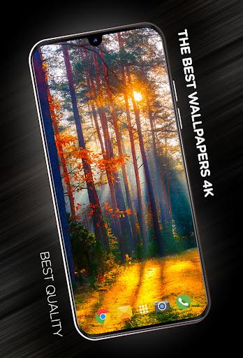Forests wallpaper in 4K - Image screenshot of android app