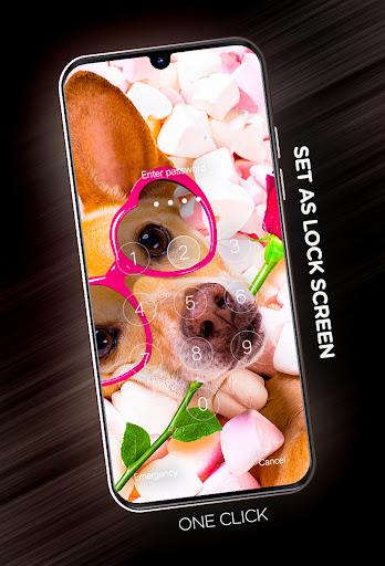 Funny wallpapers - عکس برنامه موبایلی اندروید