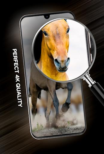 Wallpapers with Horses in ۴K - عکس برنامه موبایلی اندروید