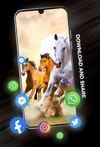 Wallpapers with Horses in ۴K - عکس برنامه موبایلی اندروید