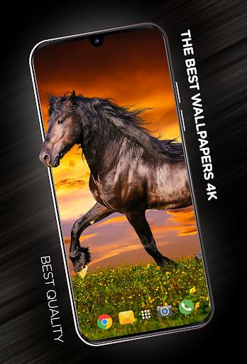 Wallpapers with Horses in 4K - Image screenshot of android app