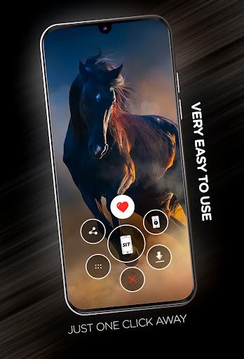 Wallpapers with Horses in 4K - Image screenshot of android app