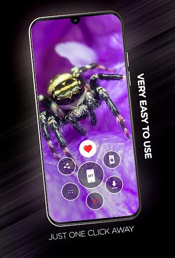 Insects Wallpapers in 4K - Image screenshot of android app