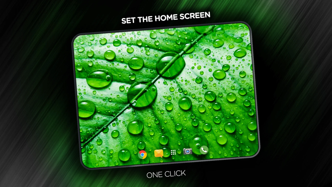 Leaves Wallpapers - عکس برنامه موبایلی اندروید