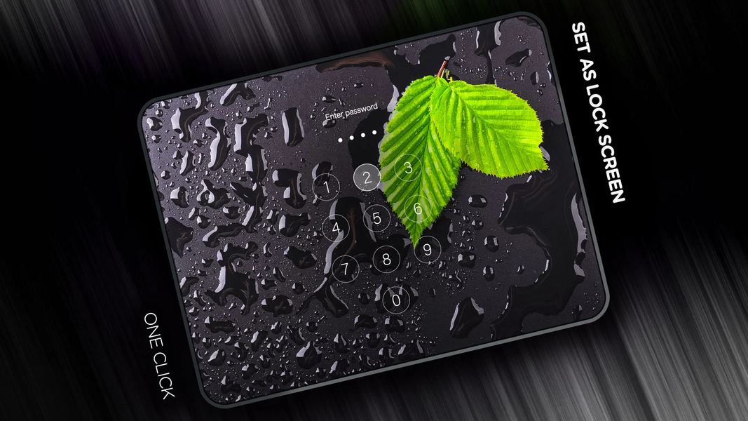 Leaves Wallpapers - عکس برنامه موبایلی اندروید