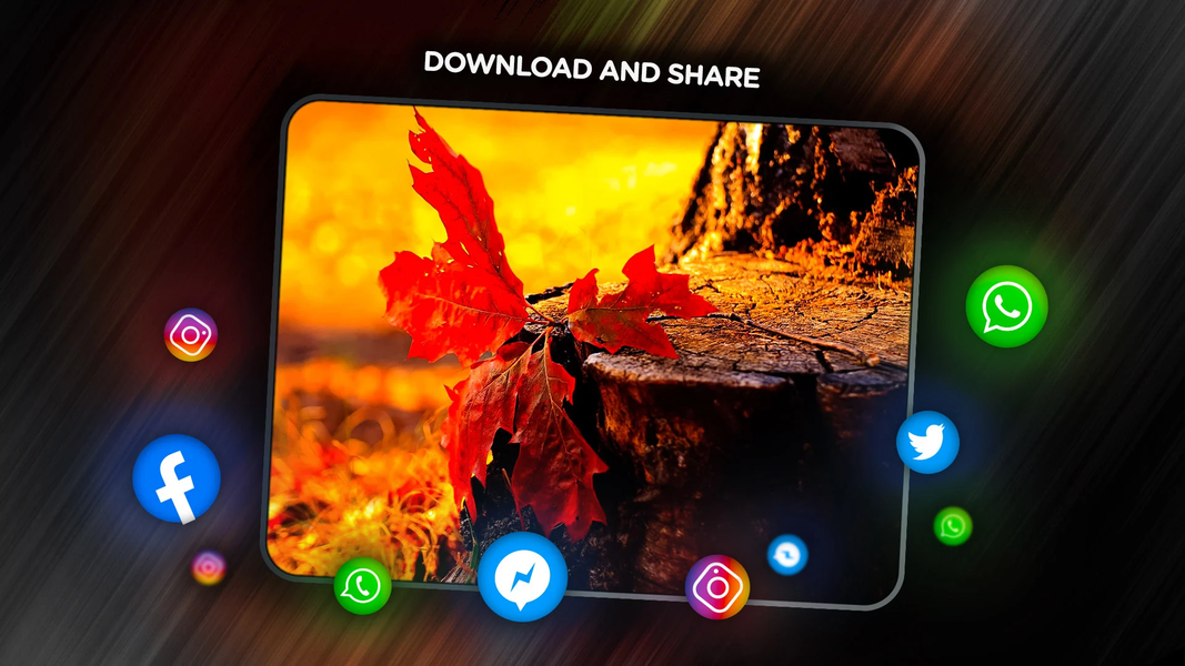 Leaves Wallpapers - عکس برنامه موبایلی اندروید