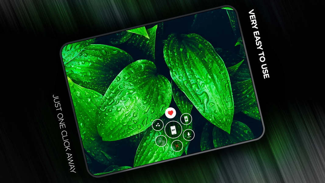 Leaves Wallpapers - عکس برنامه موبایلی اندروید