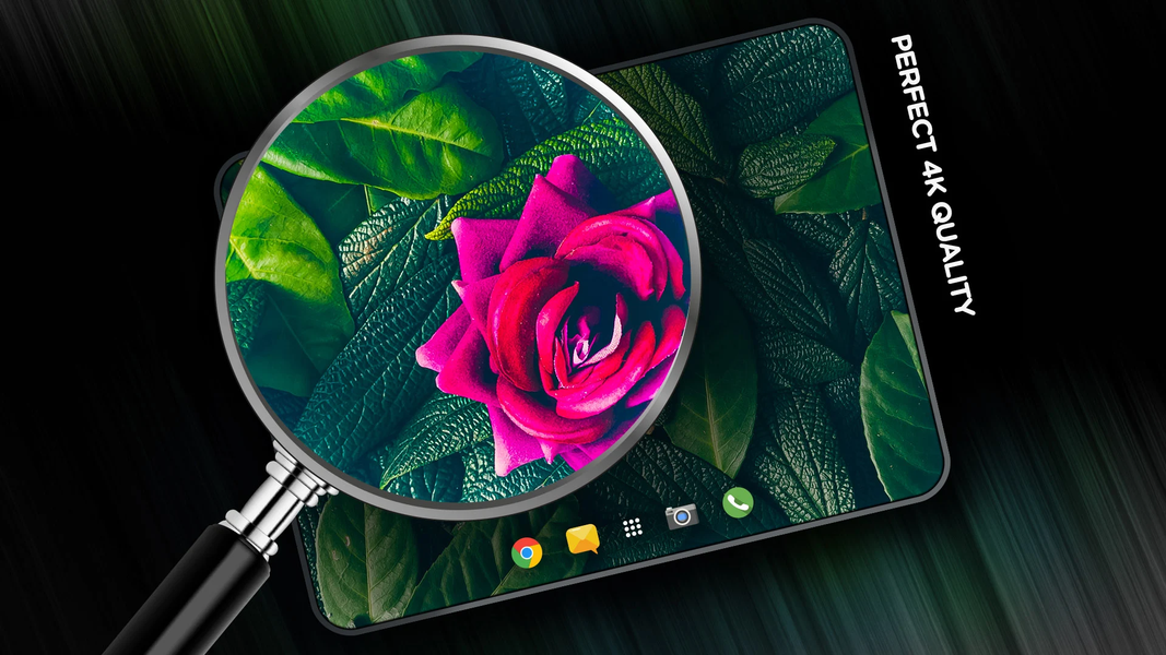 Leaves Wallpapers - عکس برنامه موبایلی اندروید