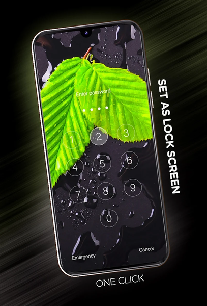 Leaves Wallpapers - عکس برنامه موبایلی اندروید