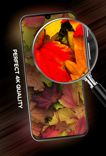 Leaves Wallpapers - عکس برنامه موبایلی اندروید