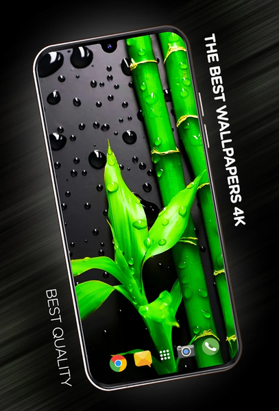 Plants Wallpapers in 4K - Image screenshot of android app