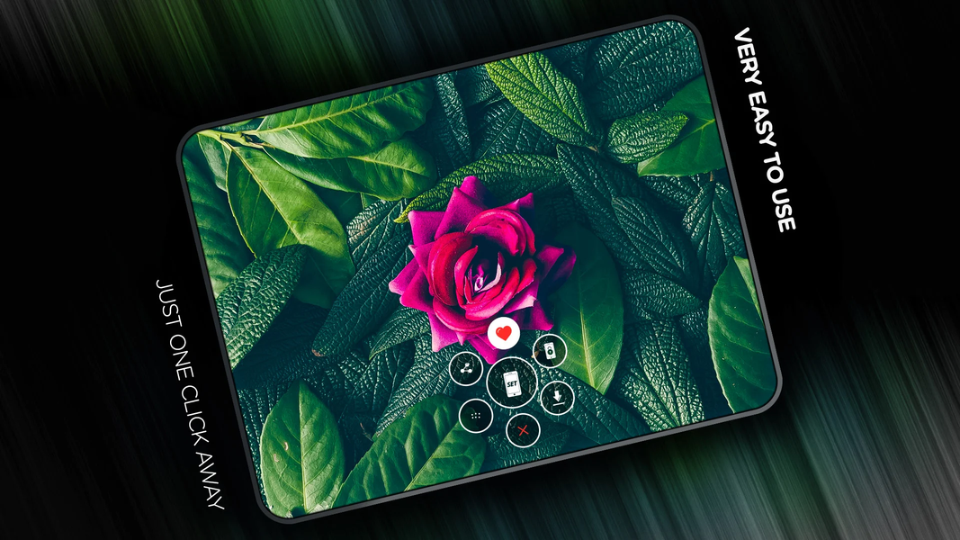 Plants Wallpapers in ۴K - عکس برنامه موبایلی اندروید