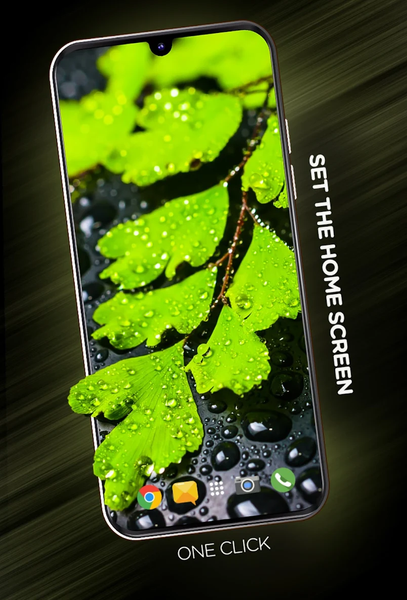 Plants Wallpapers in ۴K - عکس برنامه موبایلی اندروید