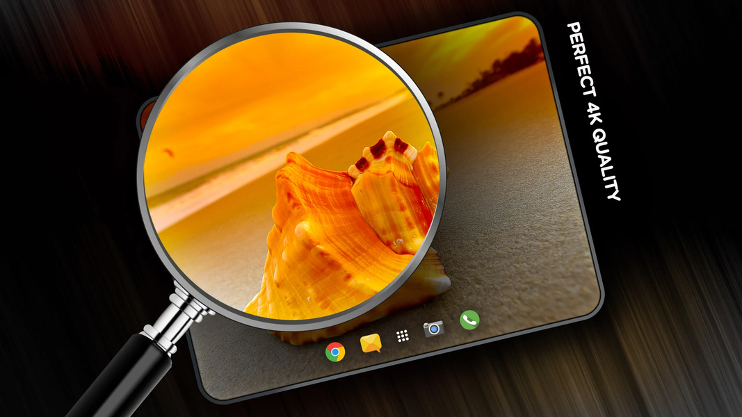 Shells Wallpapers in 4K - Image screenshot of android app