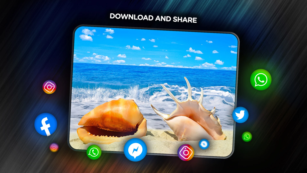 Shells Wallpapers in 4K - Image screenshot of android app